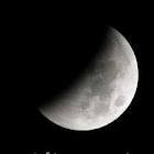 images_011